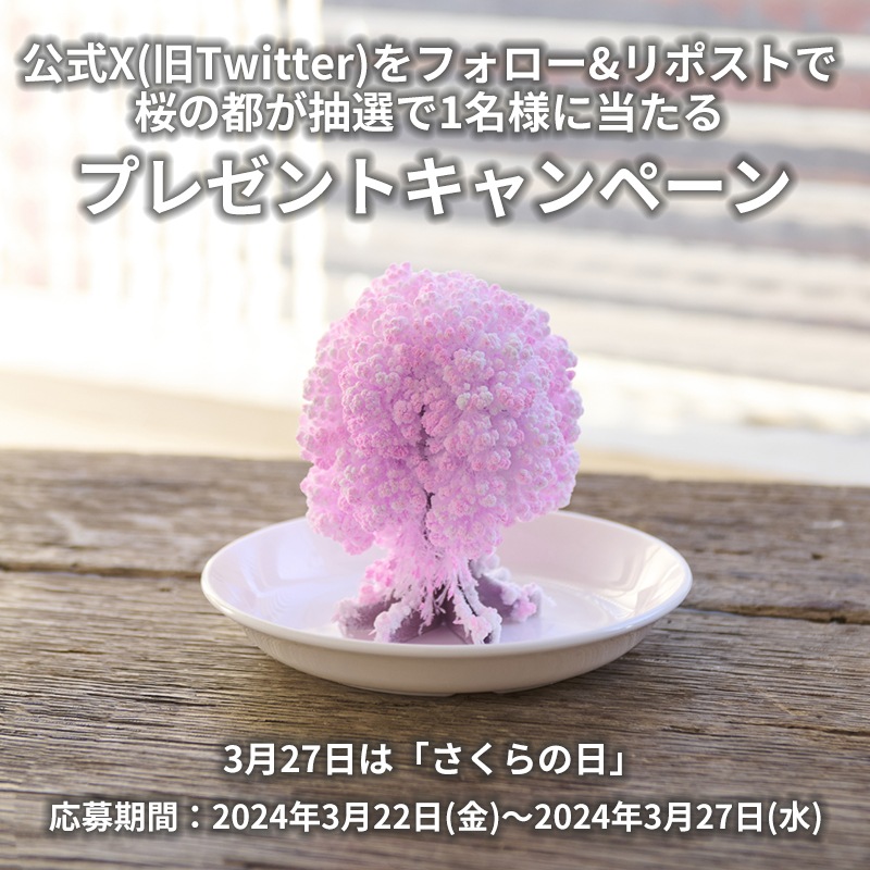 twitter_campaign