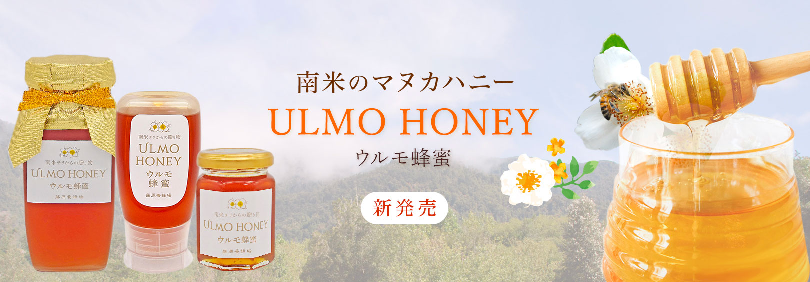 蜂蜜 専門店 藤原養蜂場 国産はちみつ 日本在来種みつばちの蜂蜜 たれ