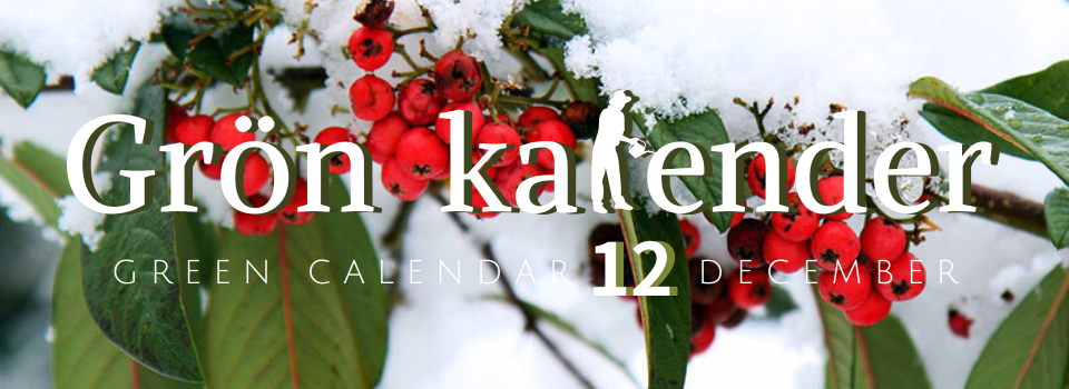 グリーンカレンダー　スウェーデン　12月　ガーデニング作業