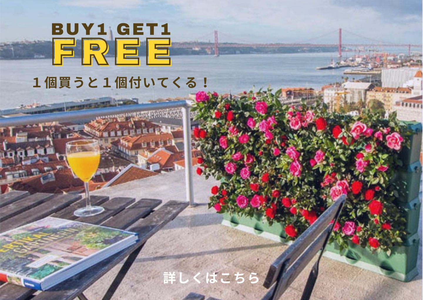 ڡbuy1get1freeå󥰡ץ󥿡ߥ˥ǥ